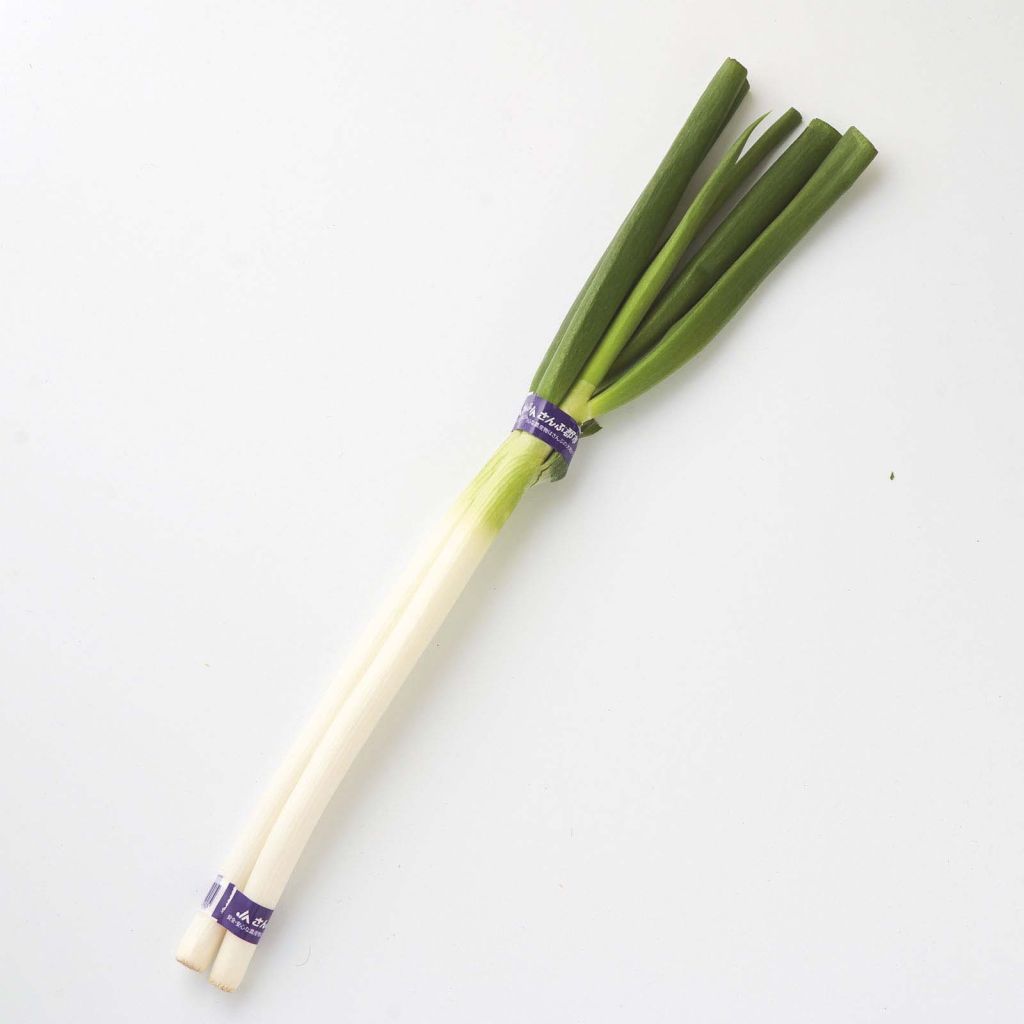 長ねぎ