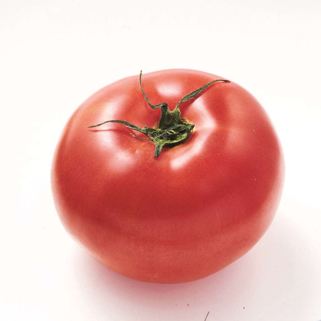 トマト | 1PK