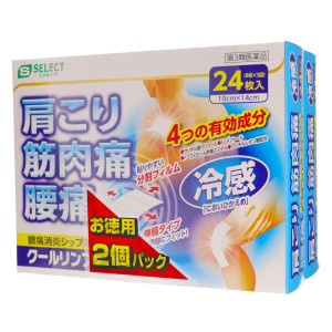 エスセレクトクールリンファスＧＳ